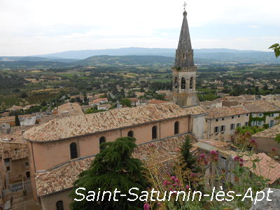 saturnin